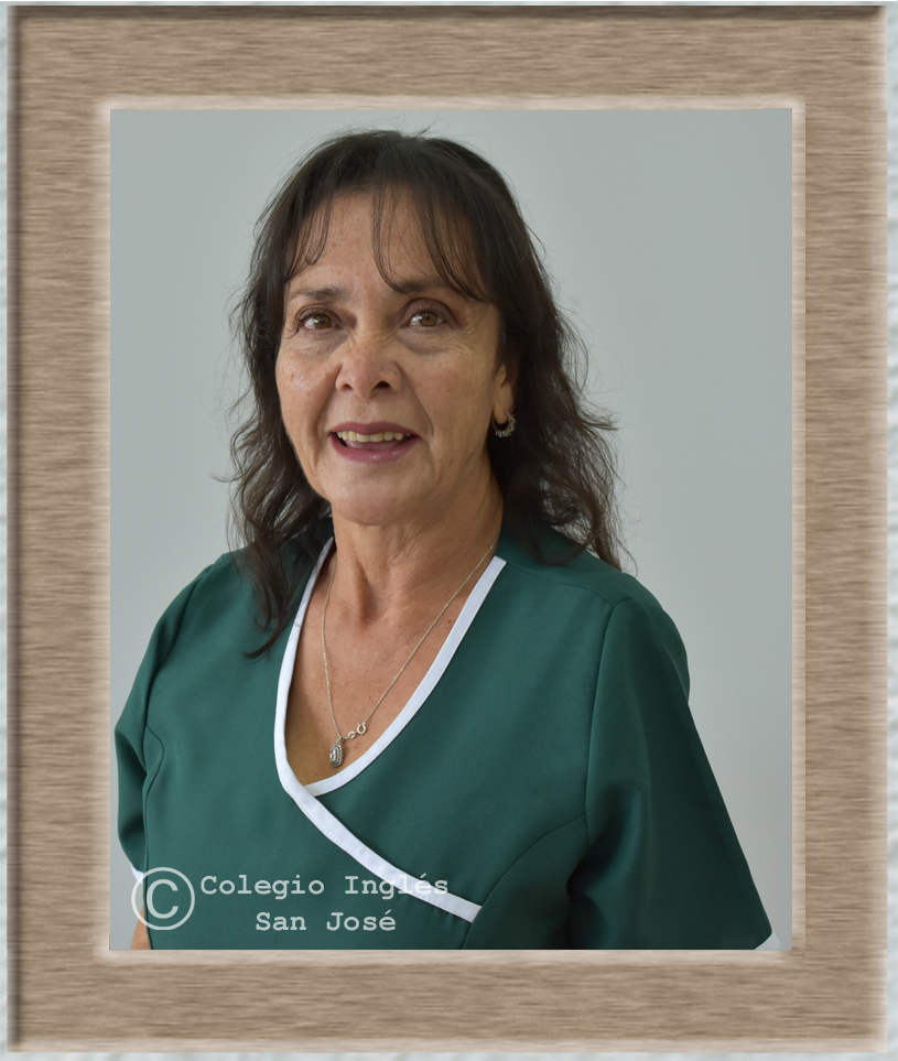 Henrriquez silvana